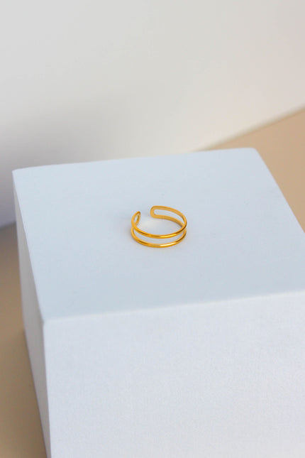 Anel em Aço Dourado ou Prateado Duplo