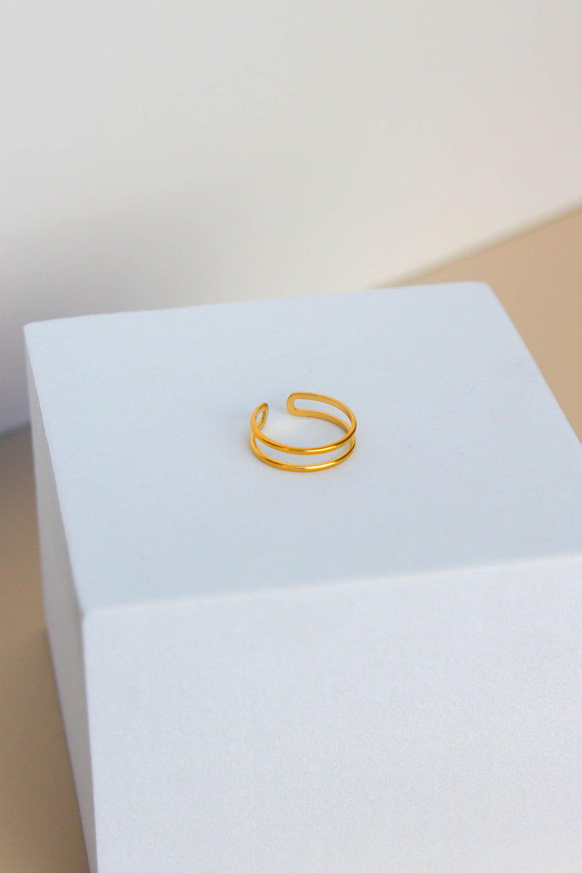 Anel em Aço Dourado ou Prateado Duplo