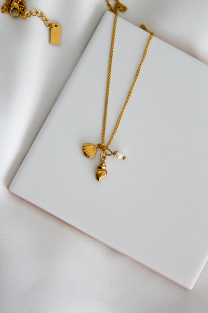 Colar em Aço Dourado com Concha, Búzio e Pérola