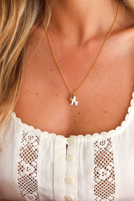 Colar em Aço Dourado com Concha e Coral