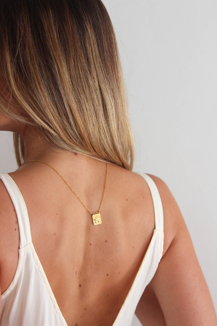 Escapulário em Aço Dourado 2 em 1 com Concha e Estrela do Mar