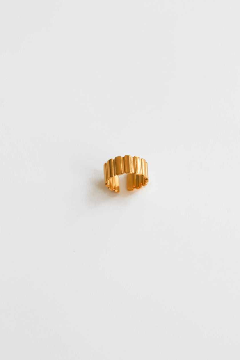Anel em Aço Dourado ou Prateado Canelado