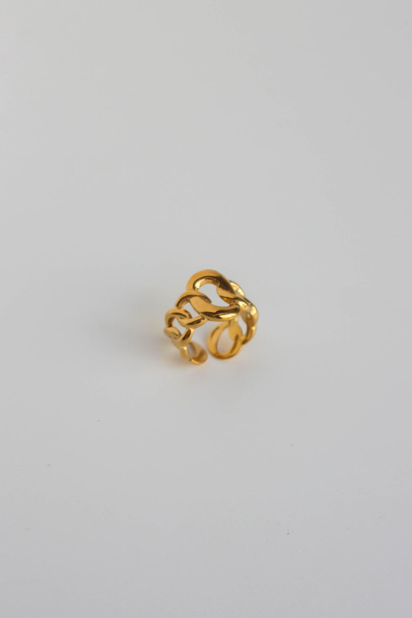 Anel em Aço Dourado com Malha Larga