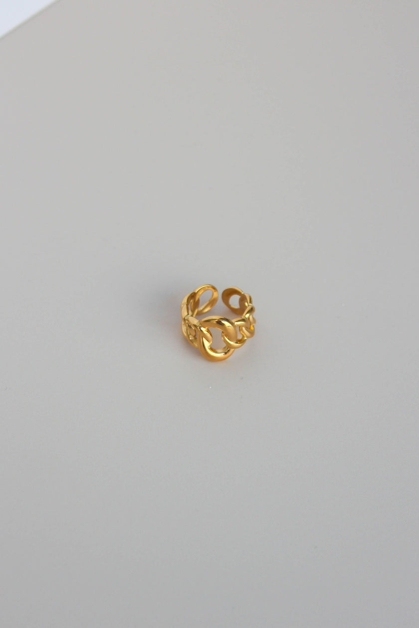 Anel em Aço Dourado com Malha Larga