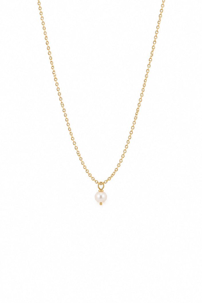 Gold Plated Steel Necklace with Freshwater Pearl