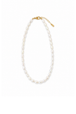 Short gold-tone steel necklace with irregular freshwater pearls.
