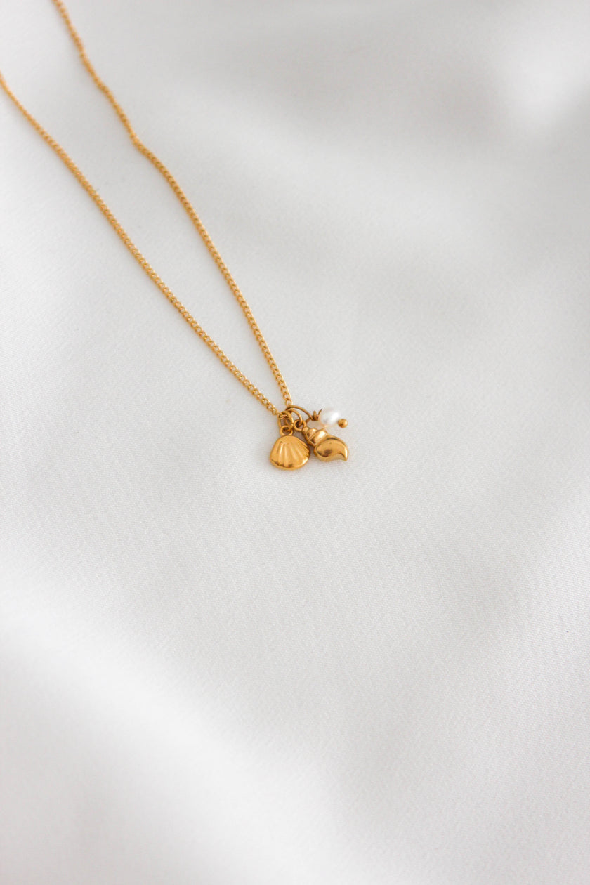 Colar em Aço Dourado com Concha, Búzio e Pérola