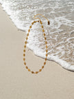Choker em Aço Dourado com Rosas