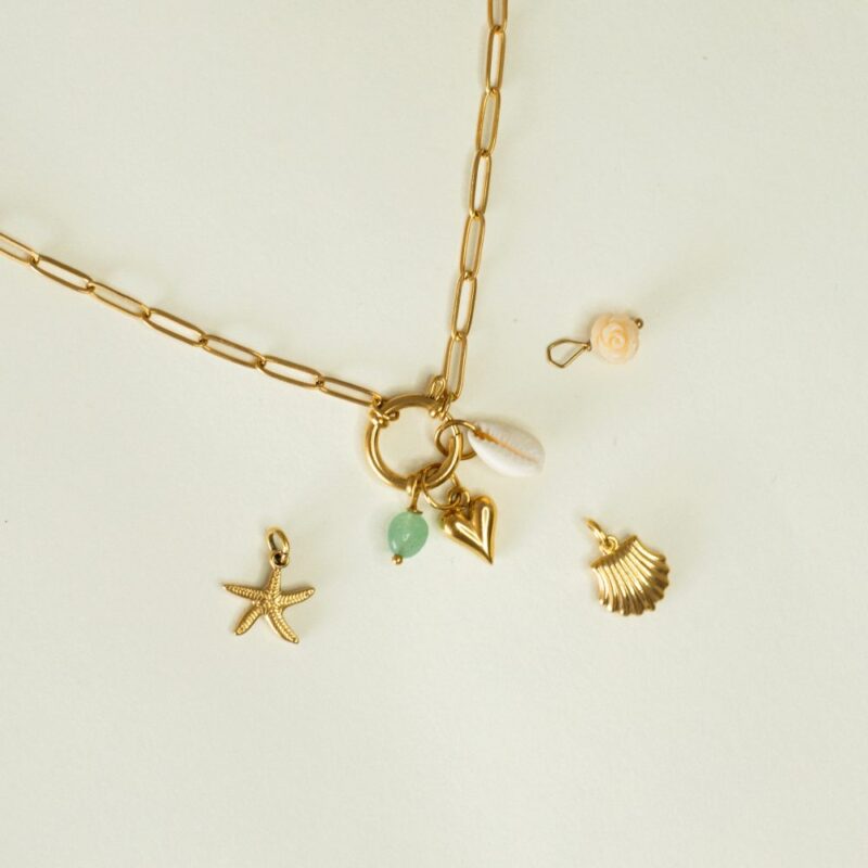 Charm Necklace com 6 Pendentes Removíveis